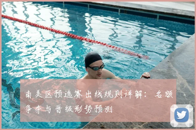 南美区预选赛出线规则详解：名额争夺与晋级形势预测