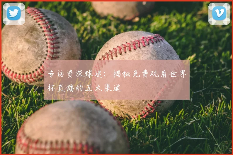 专访资深球迷:揭秘免费观看世界杯直播的五大渠道