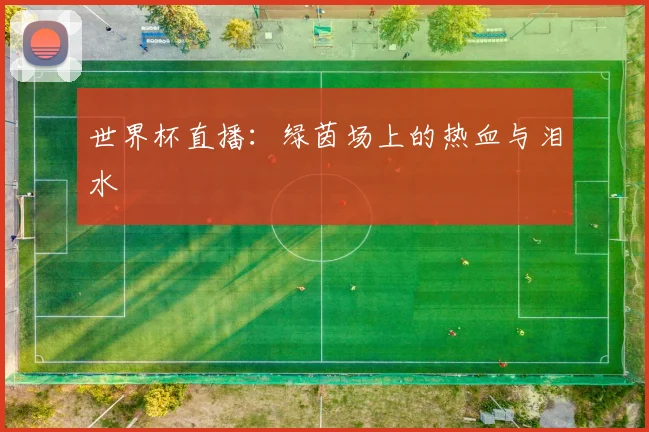 世界杯直播：绿茵场上的热血与泪水