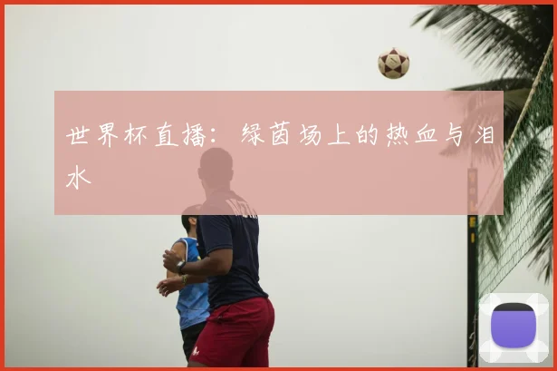 世界杯直播：绿茵场上的热血与泪水
