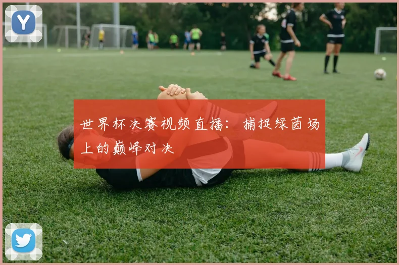 世界杯决赛视频直播:捕捉绿茵场上的巅峰对决